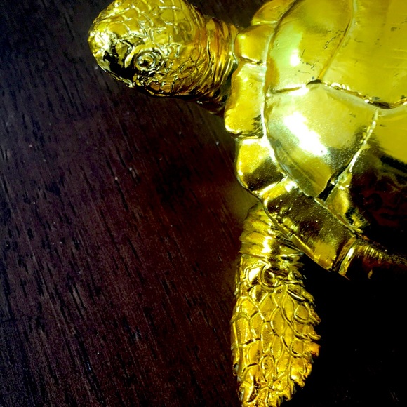 Gold colored Turtle Small Shiny - Picture 4 of 8